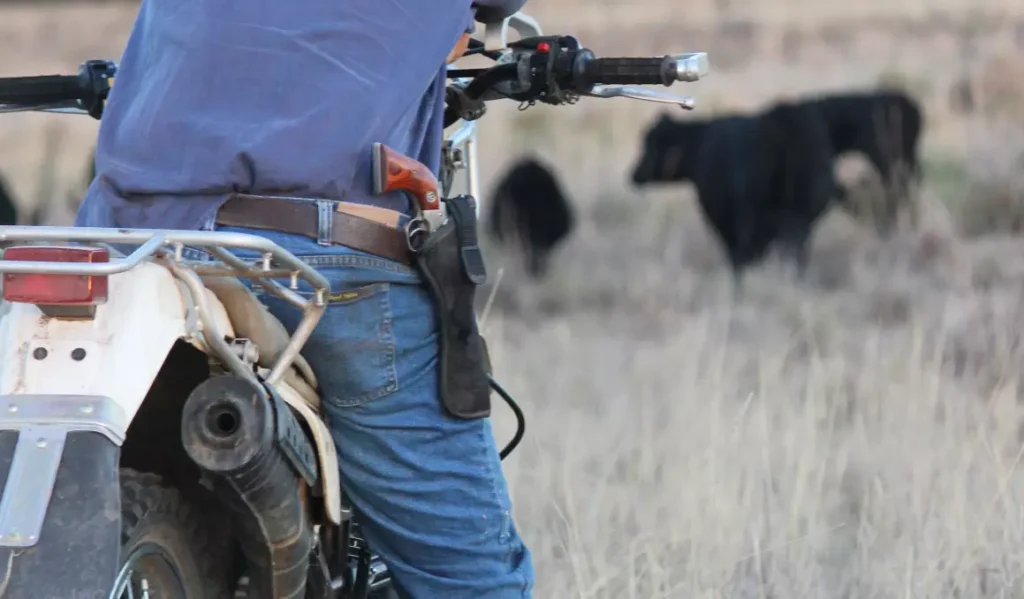Western Australia Farmers Face Health Screen for Firearm Licenses Under New Law