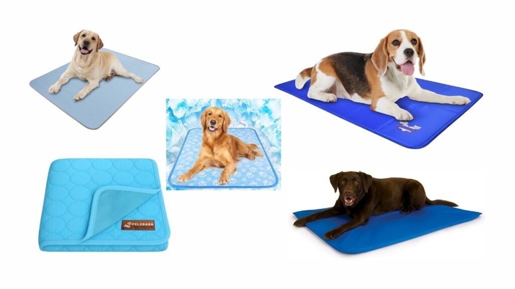 Best Cooling Mats for Dogs in Hot Weather