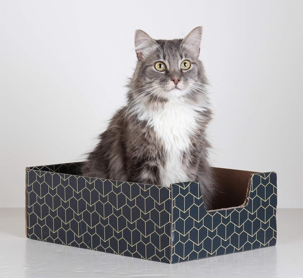Purrfect Play Palace